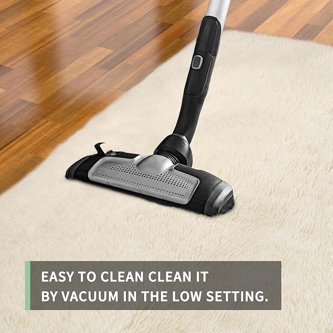 Sour Lemon 10x14 Area Rugs for Bedroom, Fluffy Rugs for Living Room, Large Area Rug Shag Shaggy Carpet Soft Plush Furry Bedside Rug, Machine Washable Area Rugs for Kids Girls Boys Home Decor Anti Slip