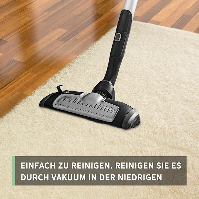 Sour Lemon 8x10 Area Rugs for Bedroom, Living Room Fluffy Rug, Large Area Rug Shag Shaggy Carpet Soft Plush Furry Bedside Rugs, Machine Washable Area Rugs for Kids Girls Boys Home Decor Anti Slip