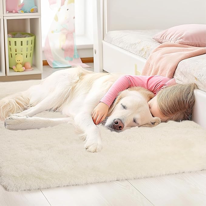 Sour Lemon 6x9 Area Rugs for Bedroom, Living Room Fluffy Rug, Large Area Rug Shag Shaggy Carpet Soft Plush Furry Bedside Rugs, Machine Washable Area Rugs for Kids Girls Boys Home Decor Anti Slip