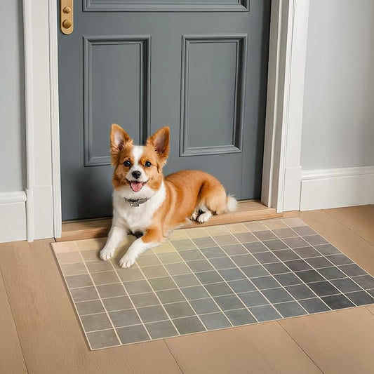 Washable Pet Friendly Entryway Rug 2x3, Neutral Small Throw Rug for Kitchen, Door Mat Indoor Entrance, Ombre Grey & Beige, Washable Textured Backing Non Slip Low Pile, Midcentury Black