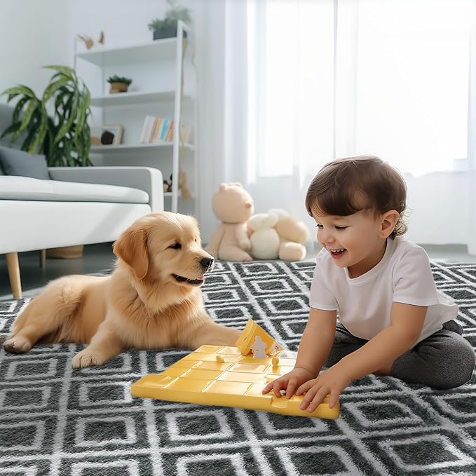 Sour Lemon 8x10 Area Rugs for Bedroom, Living Room Fluffy Rug, Large Area Rug Shag Shaggy Carpet Soft Plush Furry Bedside Rugs, Machine Washable Area Rugs for Kids Girls Boys Home Decor Anti Slip