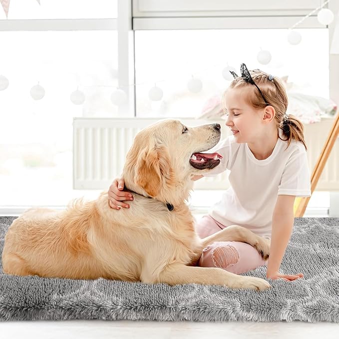 Sour Lemon Area Rugs 9x12 Living Room, Large Area Rug Shag Shaggy Carpet Soft Plush Furry Bedside Rug, Machine Washable Area Rugs for Bedroom Kids Girls Boys Home Decor Anti Slip