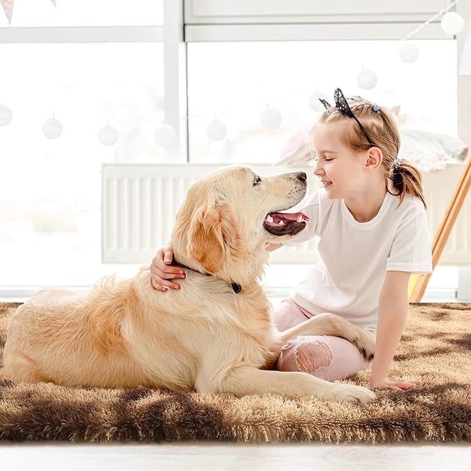 Sour Lemon 5x7 Area Rugs, Large Area Rug 5 x7, Washable Area Rugs, Bedroom Area Rug Shag Shaggy Carpet Soft Plush Furry Bedside Fluffy Rug for Living Room Kids Girls Boys Home Decor Anti Slip