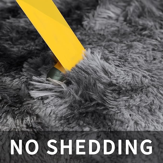 Sour Lemon Area Rugs 9x12 Living Room, Grey Large Area Rug Shag Shaggy Carpet Soft Plush Furry Bedside Rug, Machine Washable Area Rugs for Bedroom Kids Girls Boys Home Decor Anti Slip