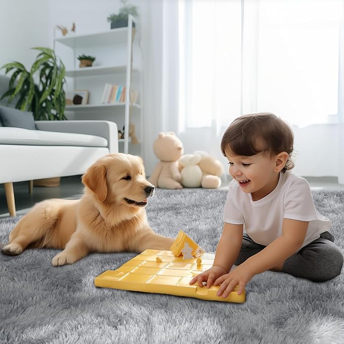 Sour Lemon 6x9 Area Rugs for Bedroom, Living Room Fluffy Rug, Large Area Rug Shag Shaggy Carpet Soft Plush Furry Bedside Rugs, Machine Washable Area Rugs for Kids Girls Boys Home Decor Anti Slip