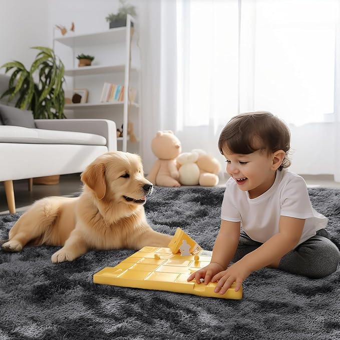 Sour Lemon Area Rugs 9x12 Living Room, Grey Large Area Rug Shag Shaggy Carpet Soft Plush Furry Bedside Rug, Machine Washable Area Rugs for Bedroom Kids Girls Boys Home Decor Anti Slip