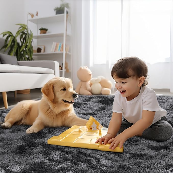 Sour Lemon 5x7 Area Rugs, Large Area Rug 5 x7, Washable Area Rugs, Bedroom Area Rug Shag Shaggy Carpet Soft Plush Furry Bedside Fluffy Rug for Living Room Kids Girls Boys Home Decor Anti Slip