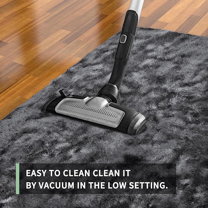 Sour Lemon 6x9 Area Rugs for Bedroom, Living Room Fluffy Rug, Large Area Rug Shag Shaggy Carpet Soft Plush Furry Bedside Rugs, Machine Washable Area Rugs for Kids Girls Boys Home Decor Anti Slip