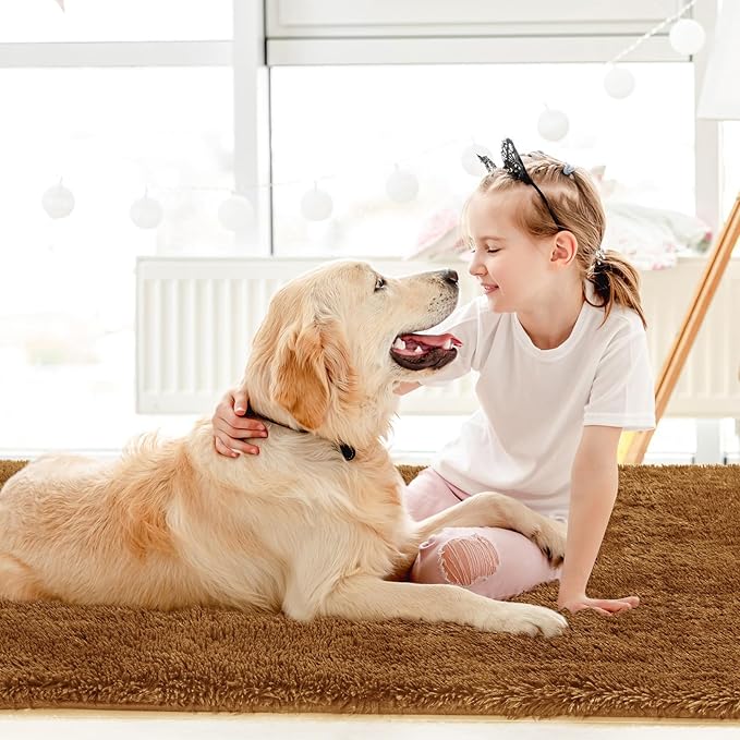 Sour Lemon 8x10 Area Rugs for Bedroom, Living Room Fluffy Rug, Large Area Rug Shag Shaggy Carpet Soft Plush Furry Bedside Rugs, Machine Washable Area Rugs for Kids Girls Boys Home Decor Anti Slip