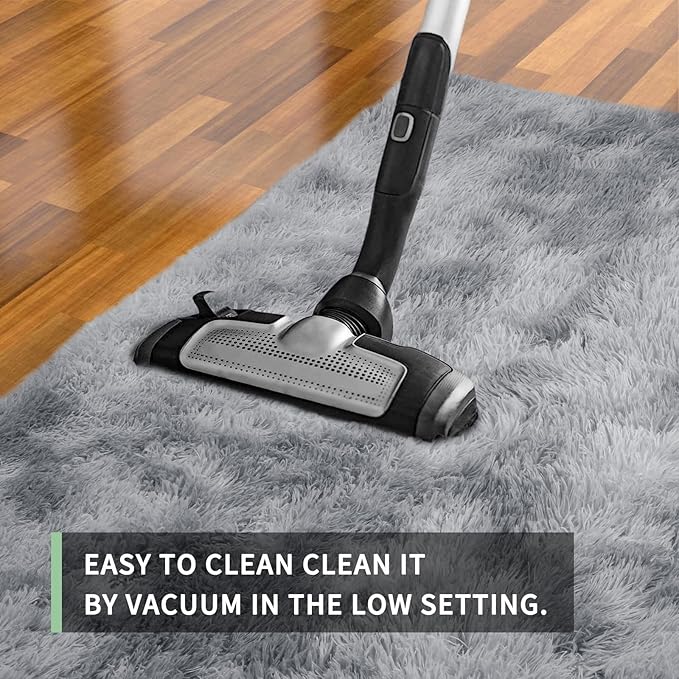 Sour Lemon 6x9 Area Rugs for Bedroom, Living Room Fluffy Rug, Large Area Rug Shag Shaggy Carpet Soft Plush Furry Bedside Rugs, Machine Washable Area Rugs for Kids Girls Boys Home Decor Anti Slip