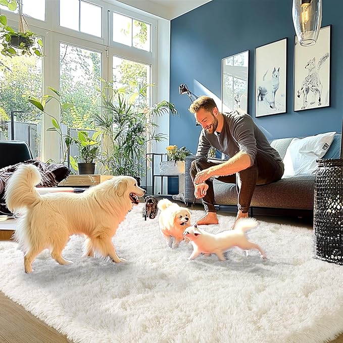 Cream White Plush Rug for Living Room Fuzzy Carpet for Bedroom Dorm, Non-Slip High Pile Rug, Shag Rug for Playroom Nursery Home Office Decor 5X7 Ft