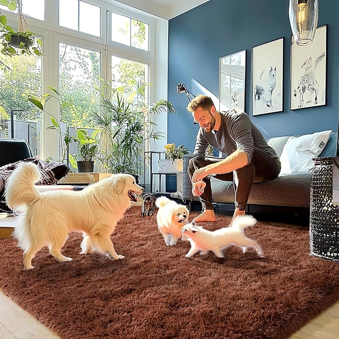 Brown Plush Rug for Living Room Fuzzy Carpet for Bedroom Dorm, Non-Slip High Pile Rug, Shag Rug for Playroom Nursery Home Office Decor 9X12 Ft
