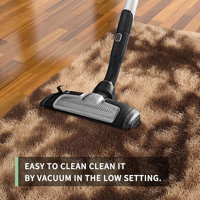 Sour Lemon Area Rugs 8x10 Living Room, Large Area Rug Shag Shaggy Carpet Soft Plush Furry Bedside Rug, Machine Washable Area Rugs for Bedroom Kids Girls Boys Home Decor Anti Slip