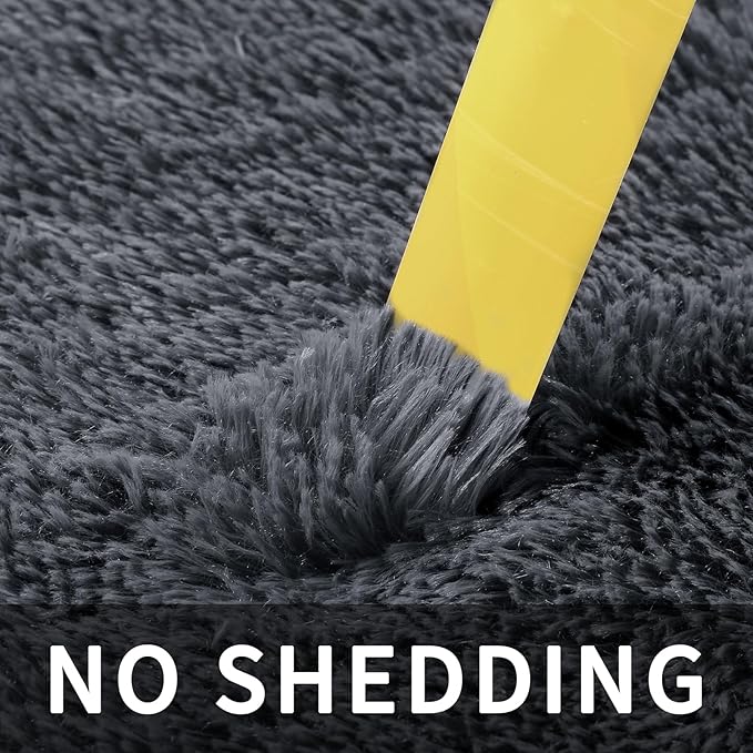 Sour Lemon 10x14 Area Rugs for Bedroom, Fluffy Rugs for Living Room, Large Area Rug Shag Shaggy Carpet Soft Plush Furry Bedside Rug, Machine Washable Area Rugs for Kids Girls Boys Home Decor Anti Slip