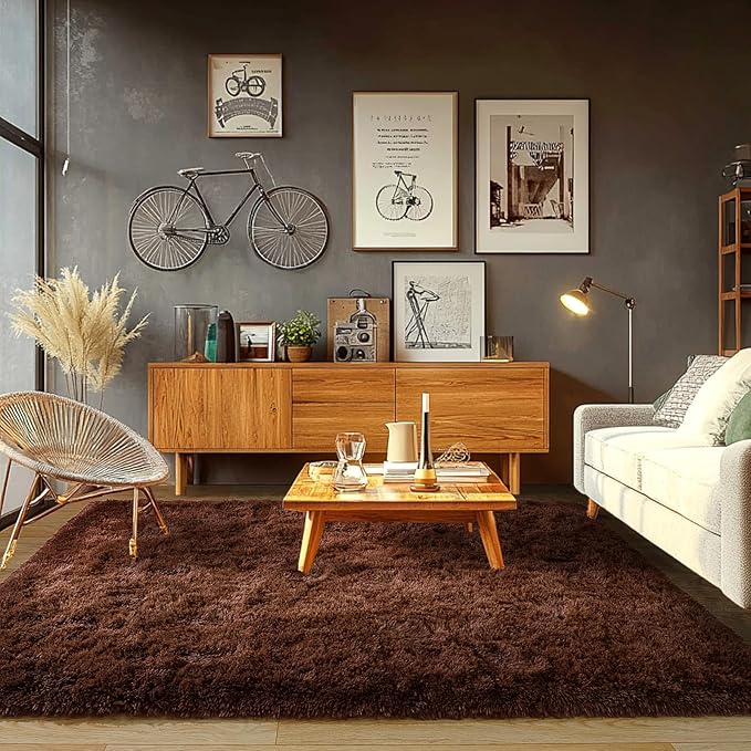 Brown Plush Rug for Living Room Fuzzy Carpet for Bedroom Dorm, Non-Slip High Pile Rug, Shag Rug for Playroom Nursery Home Office Decor 5X7 Ft