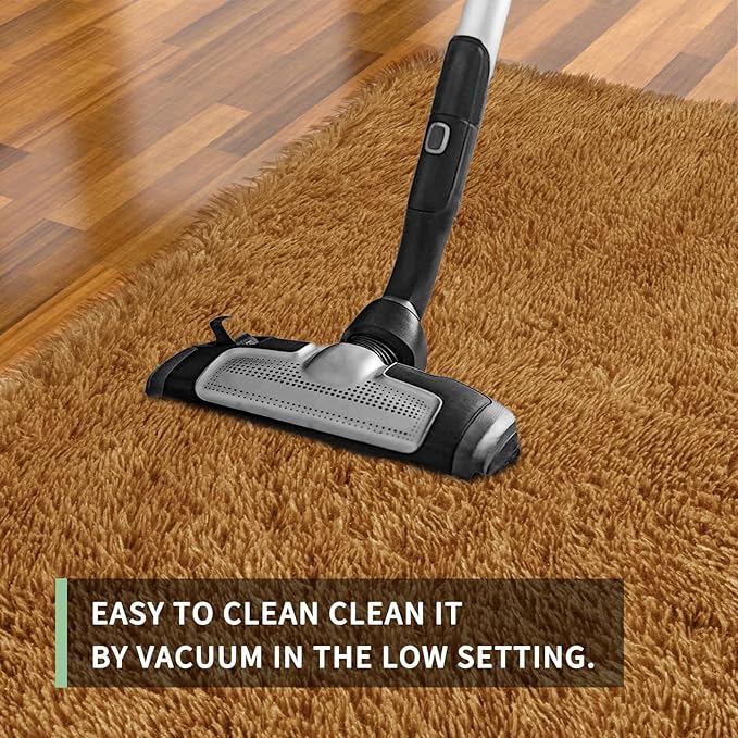 Sour Lemon 8x10 Area Rugs for Bedroom, Living Room Fluffy Rug, Large Area Rug Shag Shaggy Carpet Soft Plush Furry Bedside Rugs, Machine Washable Area Rugs for Kids Girls Boys Home Decor Anti Slip