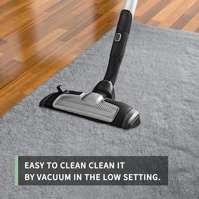 Sour Lemon Area Rugs 9x12 Living Room, Grey Large Area Rug Shag Shaggy Carpet Soft Plush Furry Bedside Rug, Machine Washable Area Rugs for Bedroom Kids Girls Boys Home Decor Anti Slip