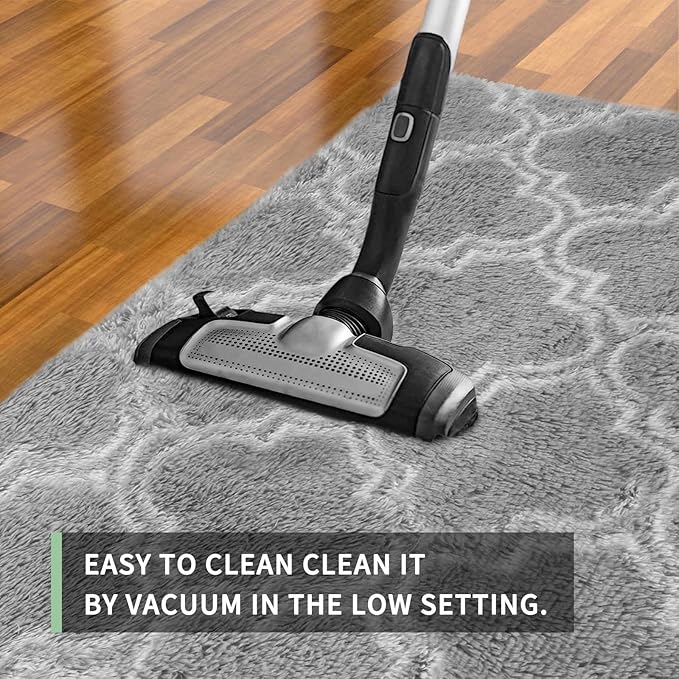 Sour Lemon Area Rugs 8x10 Living Room, Grey Large Area Rug Shag Shaggy Carpet Soft Plush Furry Bedside Rug, Machine Washable Area Rugs for Bedroom Kids Girls Boys Home Decor Anti Slip