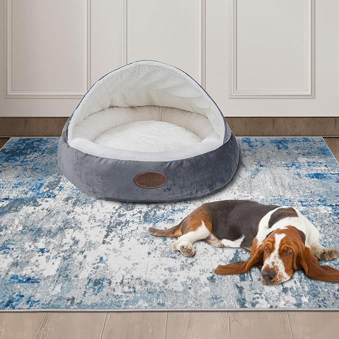 Area Rug 3x5 Machine Washable Rug Vintage Traditional Floor Cover Foldable Thin Retro Indoor Non Slip Carpet Floral Print Mat Bedroom Living Room Dining Room Office,Visus Blue