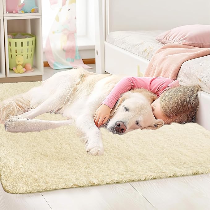 Sour Lemon 8x10 Area Rugs for Bedroom, Living Room Fluffy Rug, Large Area Rug Shag Shaggy Carpet Soft Plush Furry Bedside Rugs, Machine Washable Area Rugs for Kids Girls Boys Home Decor Anti Slip