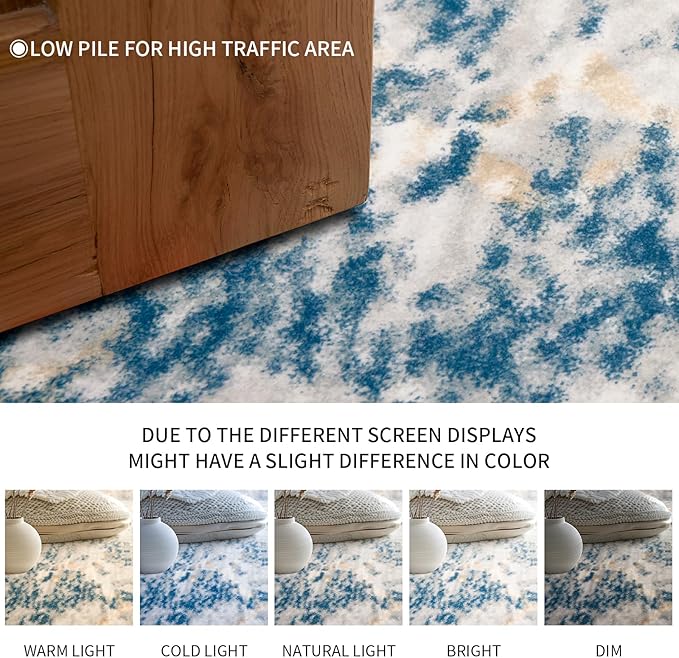 Area Rug 3x5 Machine Washable Rug Vintage Traditional Floor Cover Foldable Thin Retro Indoor Non Slip Carpet Floral Print Mat Bedroom Living Room Dining Room Office,Hidden Pattern Blue