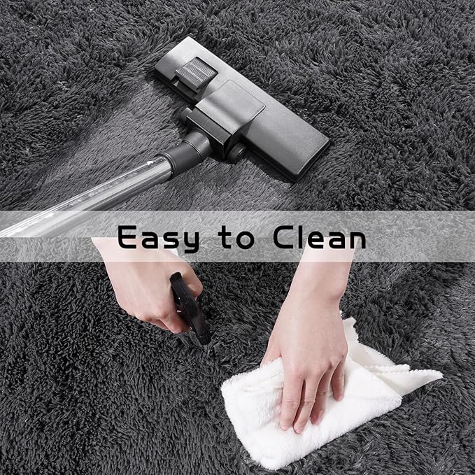 Fluffy Area Rug for Bedroom 4x6 Feet, Shag Soft Rug for Living Room, Indoor Comfy Cute Plush Bedside Carpet for Girls Boys Room Teens Dorm Nursery Decor, Charcoal Grey