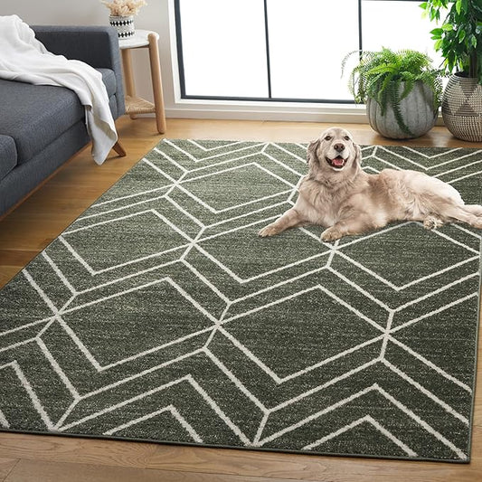 SAFAVIEH Adirondack Collection Area Rug - 9' x 12', Dark Green & Ivory, Transitional Design, Stain Resistant, Ideal for High Traffic Areas in Living Room, Bedroom & Dining Room (ADR241X-9)