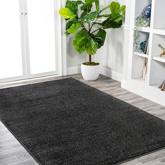 Eyely UES100I-15 Supersoft Haze Solid Low-Pile Indoor Area Rug, Coastal, Bohemian, Minimalist, Classic, Casual for Bedroom,Kitchen,Living Room,Non Shedding,Easy-Washing, Black, 12 X 15