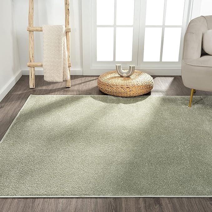 Eyely UES100O-14 Supersoft Haze Solid Low-Pile Indoor Area Rug, Coastal, Bohemian, Minimalist, Classic, Casual for Bedroom,Kitchen,Living Room,Non Shedding,Easy-Washing, Green, 10 X 14