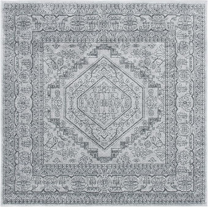 SAFAVIEH Adirondack Collection Area Rug - 8' Square, Light Grey & Dark Grey, Oriental Medallion Design, Non-Shedding & Easy Care, Ideal for High Traffic Areas in Living Room, Bedroom (ADR108C)
